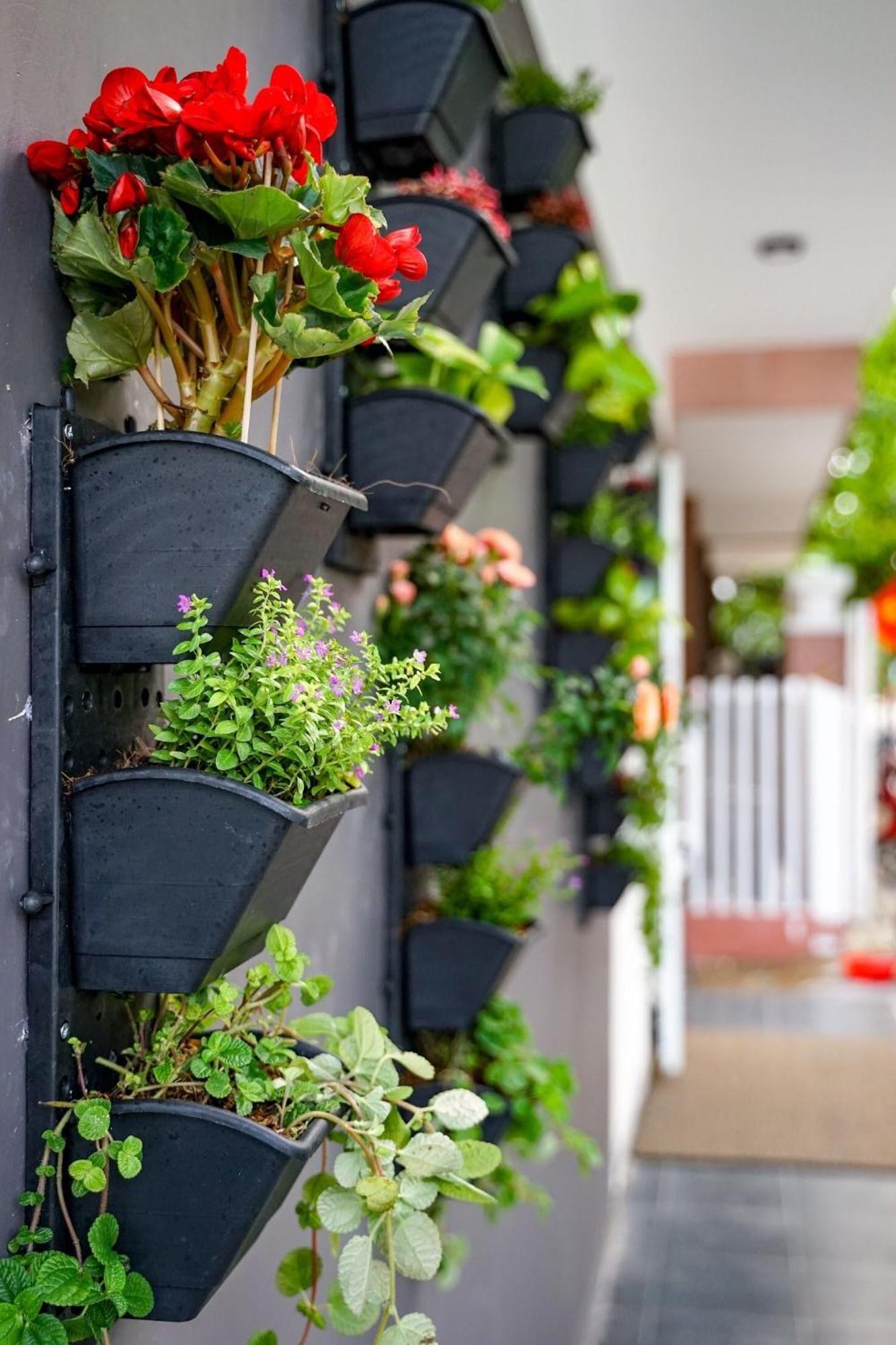 Local White House - Ecofriendly Homestay Danang Exteriér fotografie