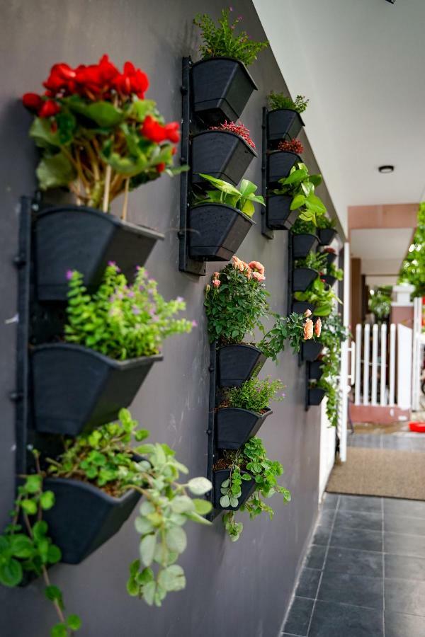 Local White House - Ecofriendly Homestay Danang Exteriér fotografie